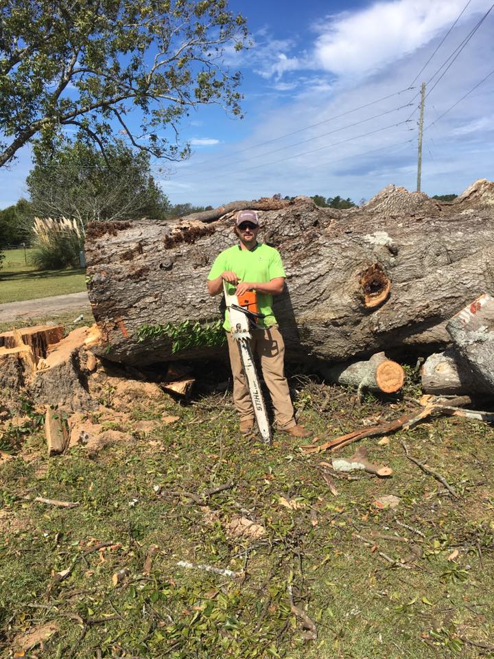 Tree Removal in Macon GA